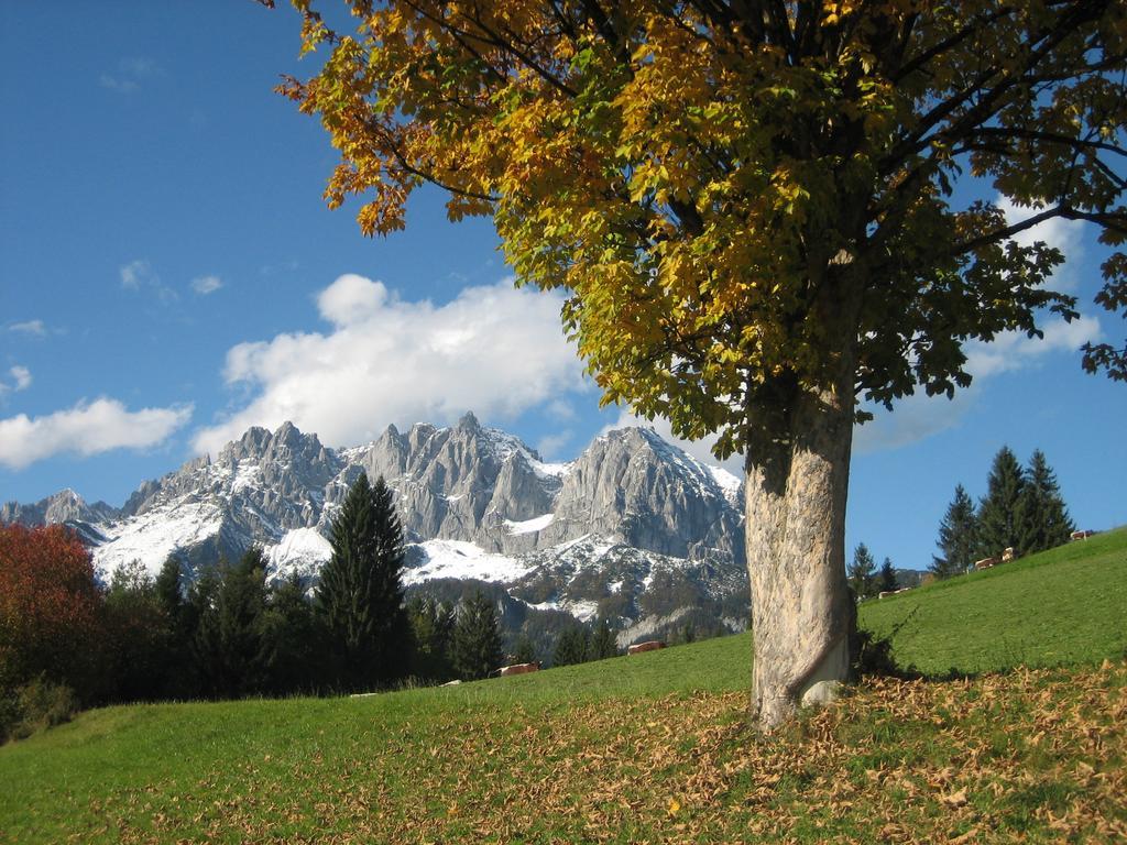 Villa Bauernhof Buchberg Oberndorf in Tirol Exterior foto