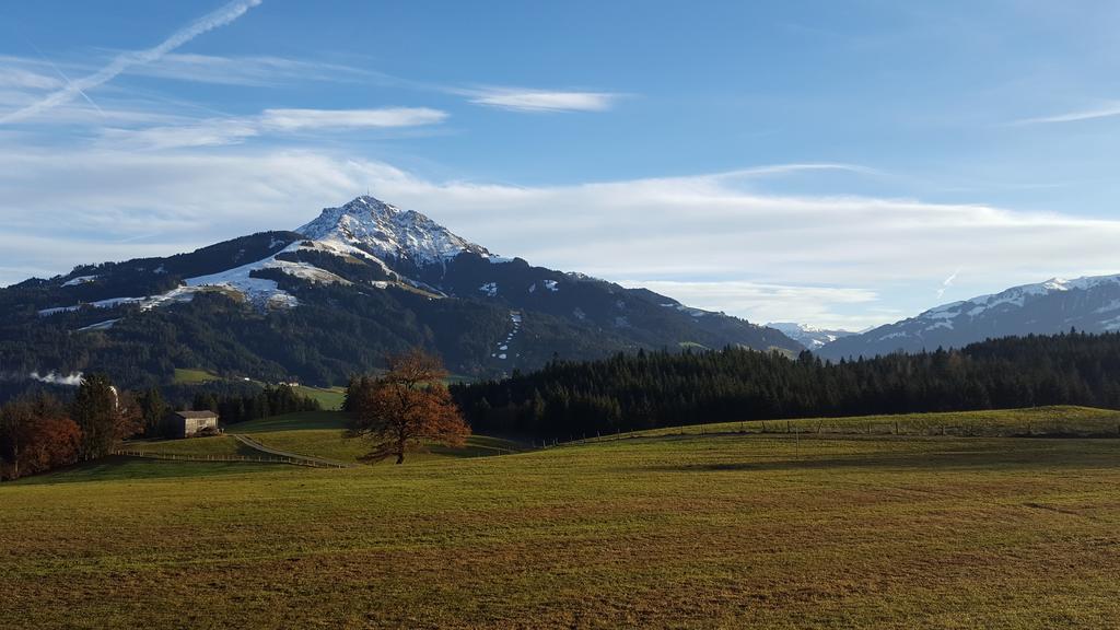 Villa Bauernhof Buchberg Oberndorf in Tirol Exterior foto